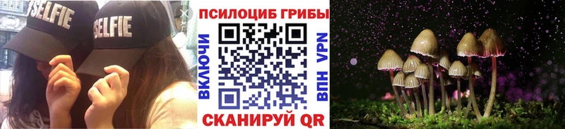 Псилоцибиновые грибы Magic Shrooms  как найти наркотики  Сочи 